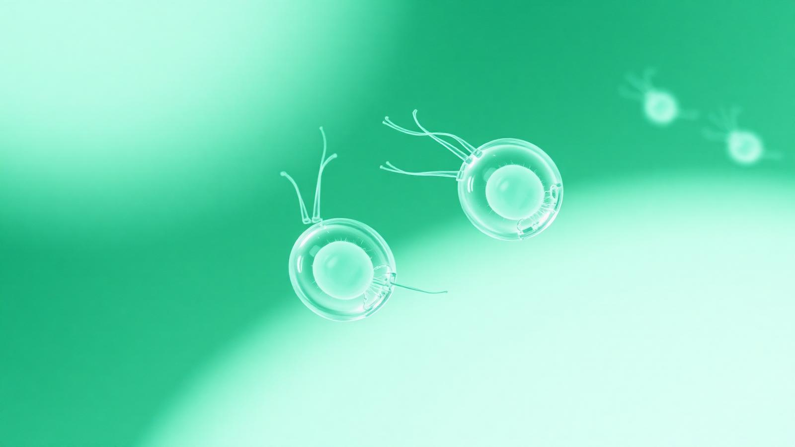 Kotprobendiagnostik in der Kleintierpraxis — Methoden und Aussagekraft